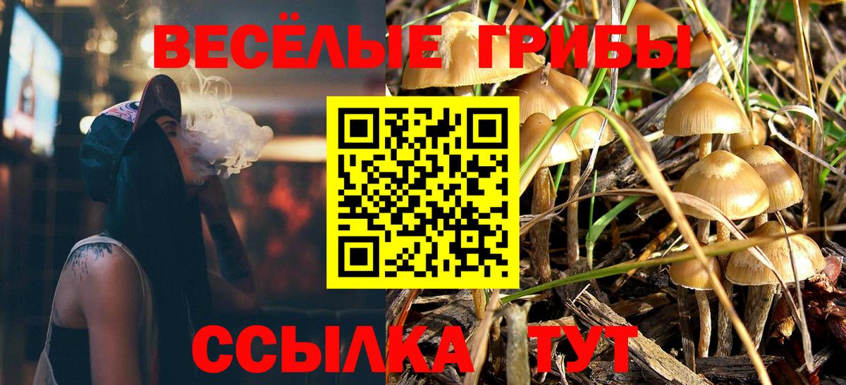 Якутск  Галлюциногенные грибы ЛСД  Вход с VPN 